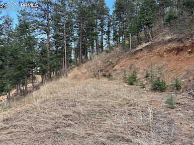284 Neon Moon View, Manitou Springs, CO 80829 - photo 3