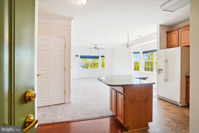 Mill Crossing unit 317, Frederick, MD 21702 - photo 5