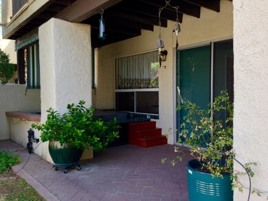 Back Patio with spa