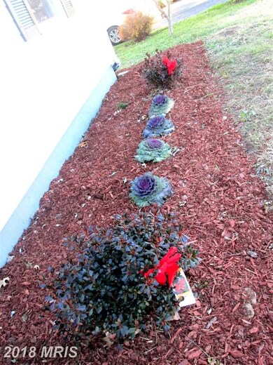 818 Ivydale Ave, Reisterstown, MD 21136 - photo 6