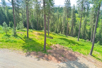 2304 S Blue Creek Lots 2 3 4 Rd, Coeur D'Alene, ID 83814 - photo 3
