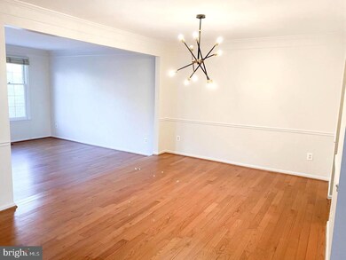 4 Bloomingdale Ct, Rockville, MD 20852 - photo 7