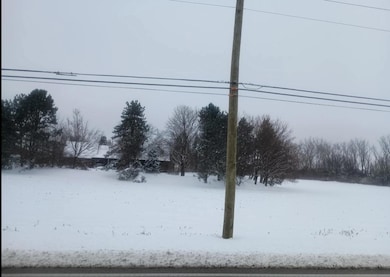 Vacant Lot W 167th St, Homer Glen, IL 60441 - photo 4