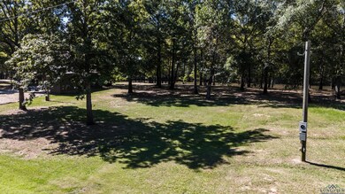 View of grassy yard