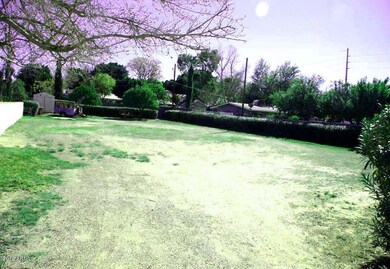 CHERRY Lot VIEW ONE