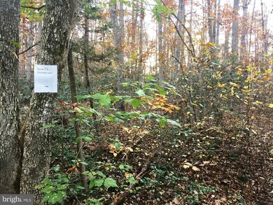 0 Cheetah Ln unit VASP203320, Spotsylvania, VA 22553 - photo 4