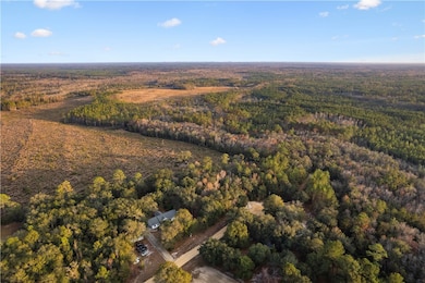 255 Spell Landing Rd, Hortense, GA 31543 - photo 2