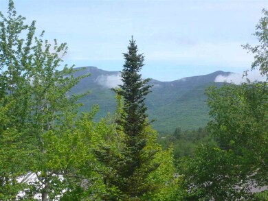 28 Packards Rd unit 514, Waterville Valley, NH 03215 - photo 6