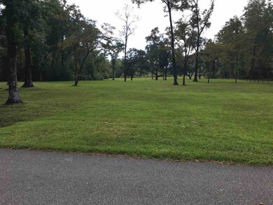 000 Emerald Acres Dr, Crawfordville, FL 32327 - photo 4