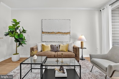 Lillian Court unit 101, McLean, VA 22102 - photo 3