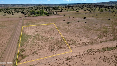 0 Concho Park Estates Unit 610, Concho, AZ 85924 - photo 2