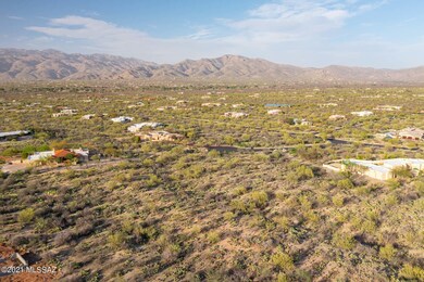 DJI_0384