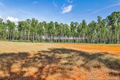 0 Old Zebulon Rd unit 25091897, Forsyth, GA 31029 - photo 4