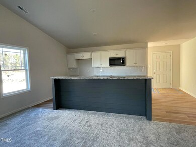 77 Heatherglenn Cir, Princeton, NC 27569 - photo 7