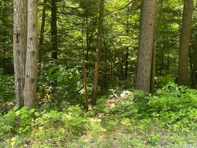 State land border marker