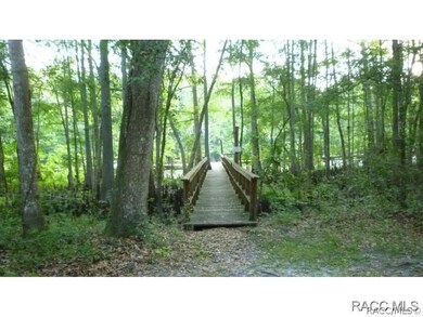 Walkway to docks
