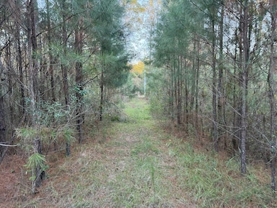 225 Frost Ln, Bude, MS 39630 - photo 5