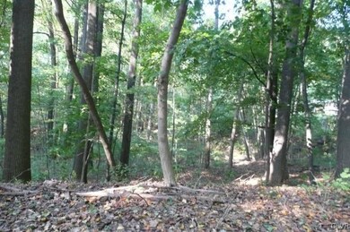 4950 Beck Rd, Emmaus, PA 18049 - photo 3