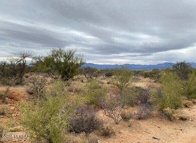 16252 W Pyle Rd unit 106, Diamond Bell Ranch, AZ 85736 - photo 6