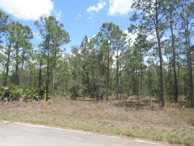 835 Gedeon Rd, Lehigh Acres, FL 33974 - photo 4