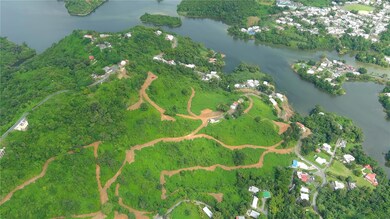 0 Carr 164, Naranjito, PR 00719 - photo 2