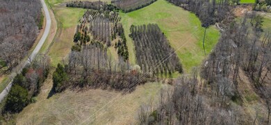 0 Will Hickerson Rd, Tullahoma, TN 37388 - photo 5