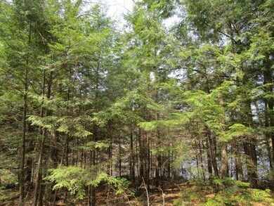 Pine Point 9