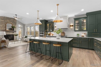 0 Unknown unit MIS25054060, Saint Albans, MO 63073 - photo 3