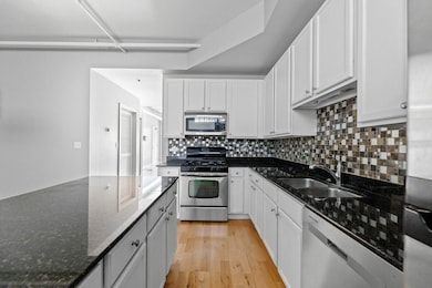 345 Front St unit 2209, Lemont, IL 60439 - photo 7