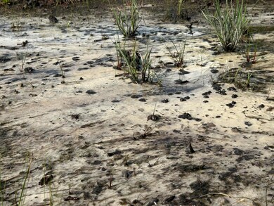 79+/- AC Old River Rd, Baker, FL 32531 - photo 7