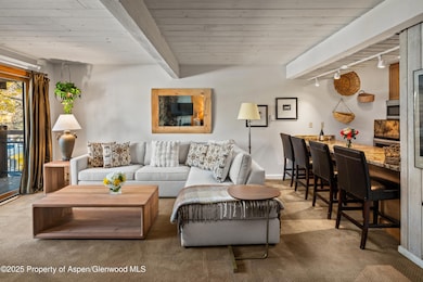 131 E Durant Ave unit 202, Aspen, CO 81611 - photo 2