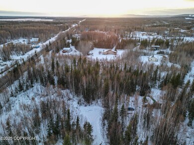 Drone View