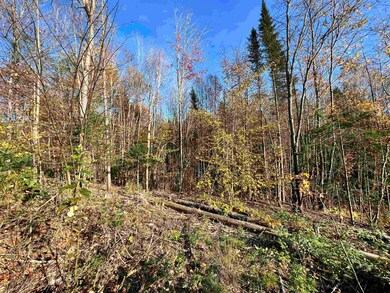 00 Vista, Lyndon, VT 05851 - photo 4