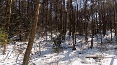 678 Pratt Corner Rd, Shutesbury, MA 01072 - photo 6