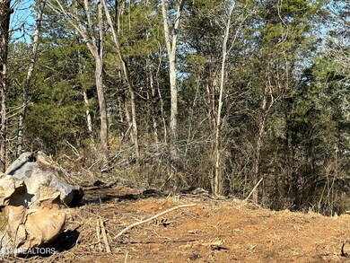 000 Dandelion Dr, Newport, TN 37821 - photo 3