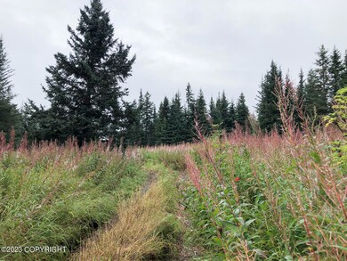 W3 Alaskan Wildwood Ranch(r), Nikolaevsk, AK 99556 - photo 4