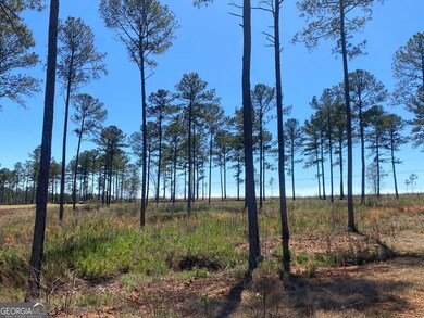 709 Giles Rd, Forsyth, GA 31029 - photo 6