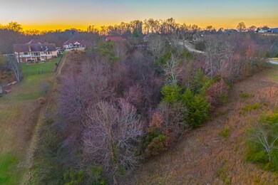 407 Riverbend (Lot 63) Dr, Dandridge, TN 37725 - photo 6