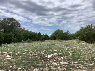 Lone Star Ranch Tract 71, Rocksprings, TX 78880 - photo 4