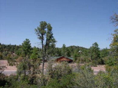 1203 E Phoenix St, Payson, AZ 85541 - photo 4