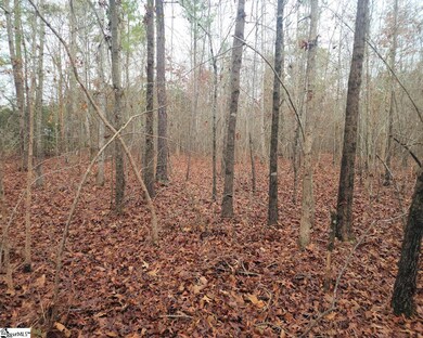 0 Scott Ln, Pelzer, SC 29669 - photo 6