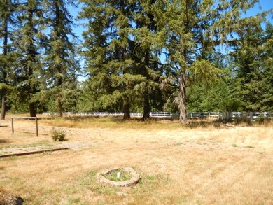 10404 295th St E, Graham, WA 98338 - photo 4