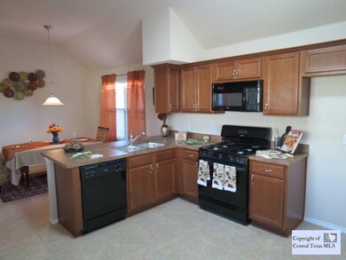 226 Silo St, San Marcos, TX 78666 - photo 5