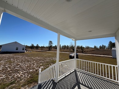 151 Lake Gloria Ln, Alma, GA 31510 - photo 5