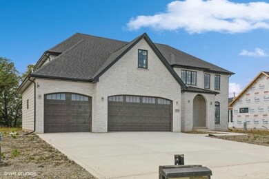 9510 Tall Grass Trail, Dyer, IN 46373 - photo 3