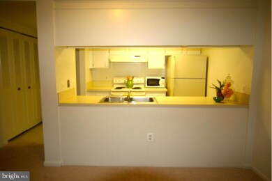 3321 S Leisure World Blvd unit 981B, Silver Spring, MD 20906 - photo 4