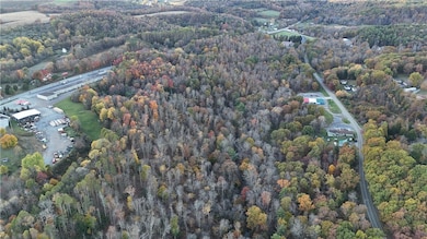 2685 Walston Rd, Walston, PA 15781 - photo 6