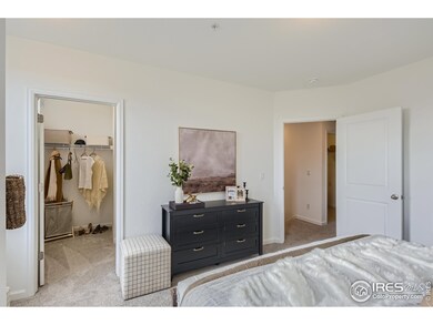1003 Schlagel St unit 4, Fort Collins, CO 80524 - photo 5