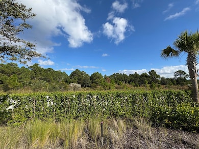13085 Monte Rosa Ct, Palm Beach Gardens, FL 33412 - photo 7