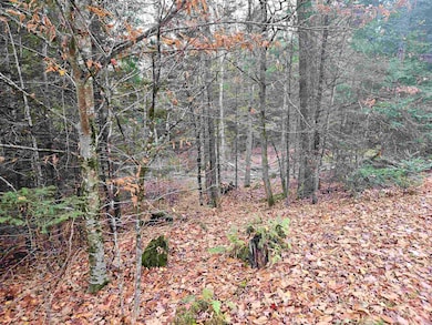 35 Langway Rd, Lyman, NH 03585 - photo 3